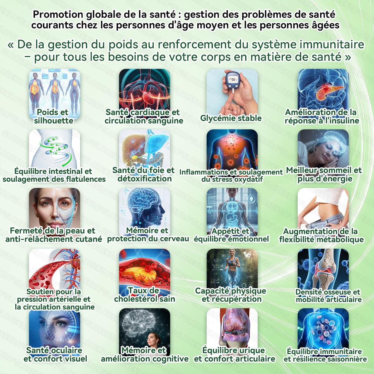 𝐁𝐨𝐮𝐭𝐢𝐪𝐮𝐞 𝐎𝐟𝐟𝐢𝐜𝐢𝐞𝐥𝐥𝐞 | 𝐆𝐋𝐎𝐑𝐄𝐍𝐃𝐀® 𝐌𝐨𝐫𝐢𝐧𝐠𝐚 · 𝐁𝐞𝐫𝐛𝐞𝐫𝐢𝐧𝐞 × 𝐍𝐀𝐃+ 𝟏𝟎-𝐞𝐧-𝟏 𝐍𝐚𝐧𝐨 𝐌𝐢𝐜𝐫𝐨𝐧𝐞𝐞𝐝𝐥𝐞 𝐀𝐯𝐚𝐧𝐜é 𝐏𝐚𝐭𝐜𝐡 (𝐔𝐧𝐞 𝐬𝐞𝐮𝐥𝐞 𝐟𝐨𝐢𝐬 𝐩𝐚𝐫 𝐣𝐨𝐮𝐫) 𝐏𝐨𝐮𝐫 𝐥’𝐨𝐛é𝐬𝐢𝐭é, 𝐩𝐞𝐚𝐮 𝐫𝐞𝐥â𝐜𝐡é𝐞, 𝐝𝐢𝐚𝐛è𝐭𝐞, 𝐚𝐩𝐧é𝐞 𝐝𝐮 𝐬𝐨𝐦𝐦𝐞𝐢𝐥, 𝐩𝐫𝐨𝐛𝐥è𝐦𝐞𝐬 𝐚𝐫𝐭𝐢𝐜𝐮𝐥𝐚𝐢𝐫𝐞𝐬, 𝐞𝐭 𝐛𝐢𝐞𝐧 𝐩𝐥𝐮𝐬